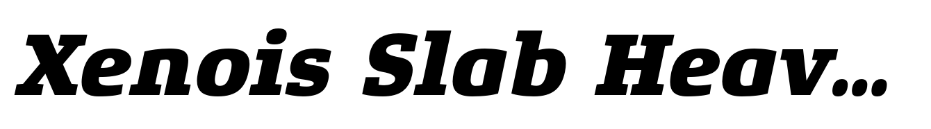 Xenois Slab Heavy Italic